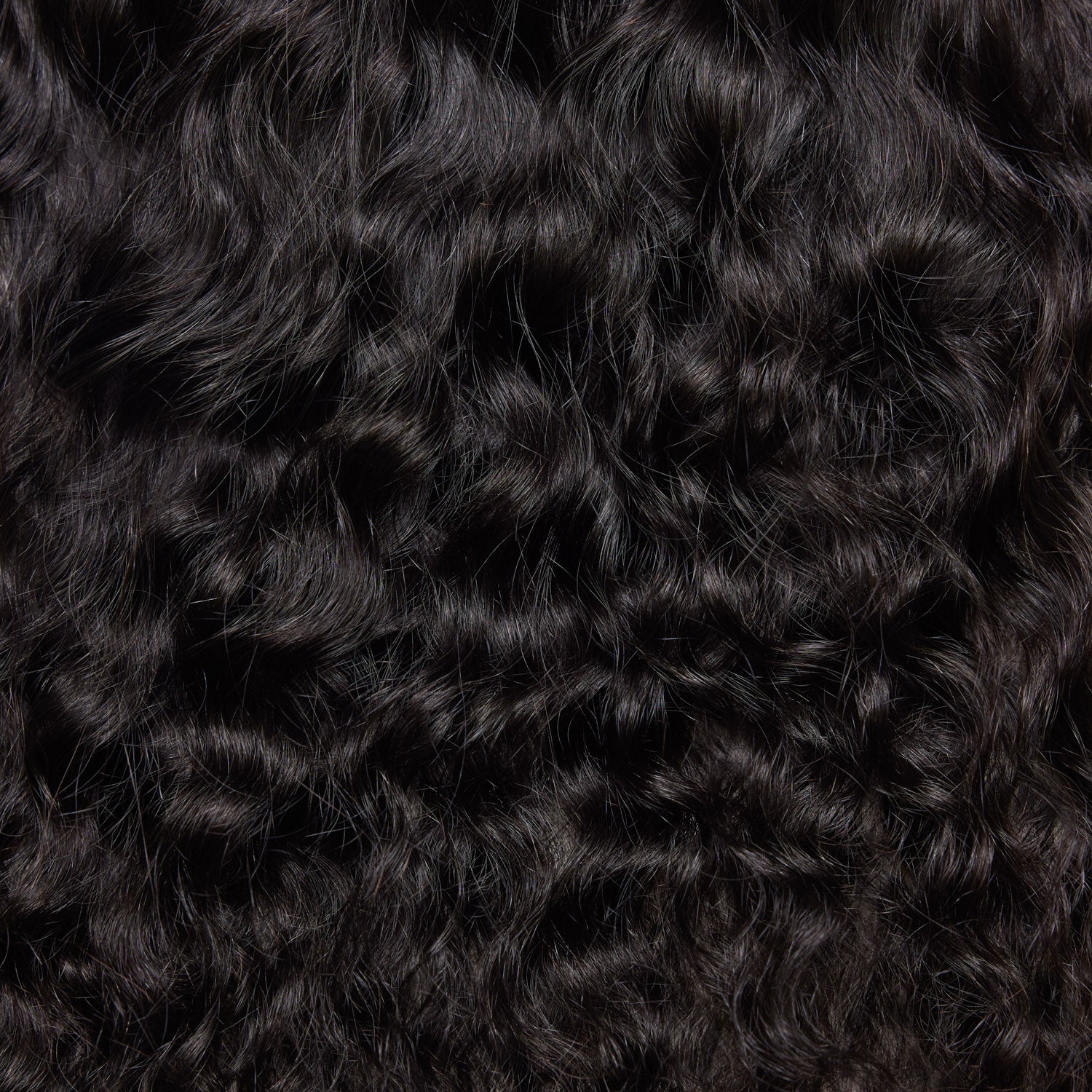 close up of black  Burmese  long Loose Curly humane hair